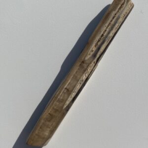 Tumbled Petrified Wood Stick (Stone)